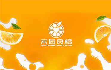 某良橙——鹤壁LOGO设计